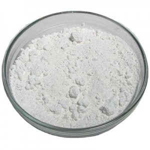 Factory Supply High Purity CAS 13463-67-7 Titanium Dioxide with Good Price
